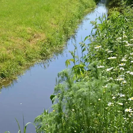 Scenic In Casa vacanze *