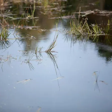 Scenic In 温瑟蒙特