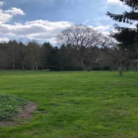 Casa vacanze Scenic In *