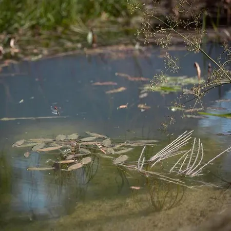 Scenic In 度假居 *